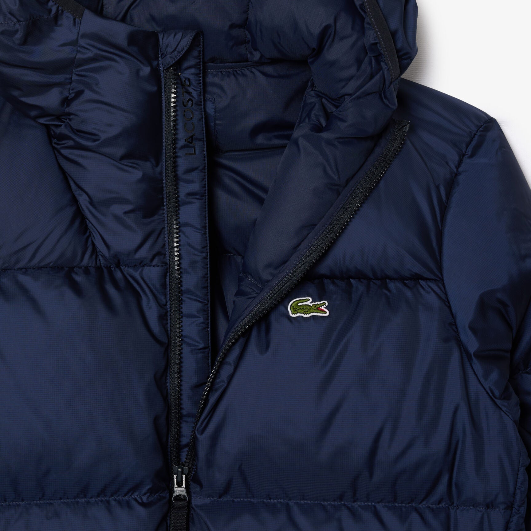 Short Water - repellent Hooded Puffed Jacket - B30sneakers